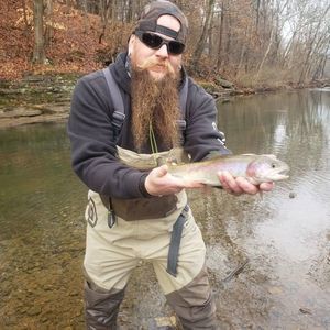 Meet your Posher, Louie